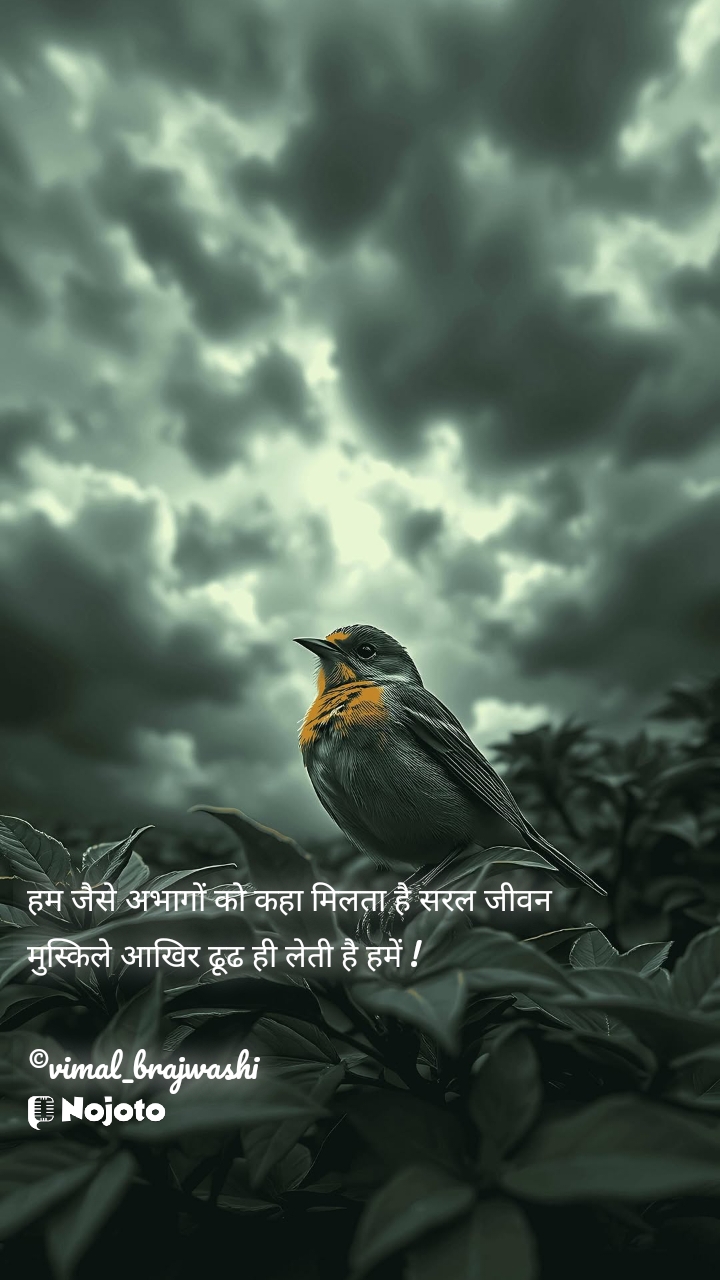 हम जैसे अभागों को कहा मिलता है सरल जीवन
मुस्किले आखिर ढूढ ही लेती है हमें !

©vimal_brajwashi #instawriters  #insta 
#Hindi  #HindiPoem 
#hindikavita 
 life quotes in tamil reality life quotes in hindi life quotes in telugu Kalki shayari on life